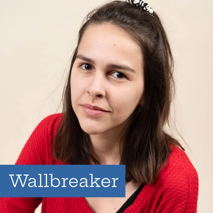 Wallbreaker