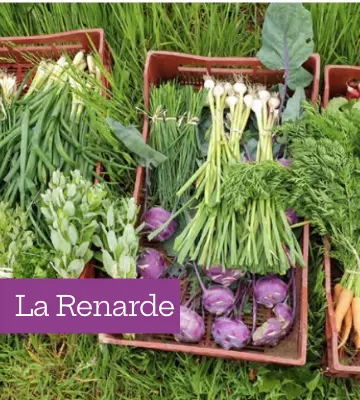 La Renarde